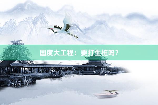 国度大工程：要打生桩吗？